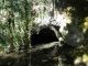 27. Drienovská jaskyňa - už bez mreže